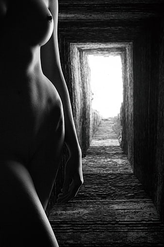 Black and white artistic nude female torso in dark wooden corridor