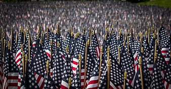 Rows of American Flags at Memorial Ceremony