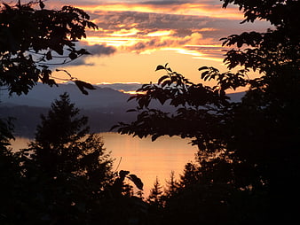 Golden sunset over lake with silhouetted trees