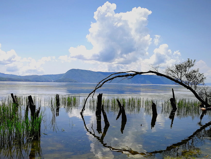 Serene lake landscape with dead tree reflection and mountains