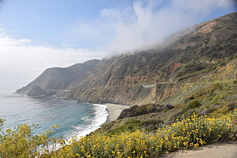 Scenic Big Sur coastline with yellow wildflowers and fog