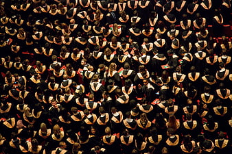 Aerial View of Graduates in Black and Gold Gowns at Ceremony