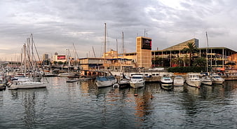 Boats docked in Barcelona marina with city skyline