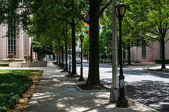 Shaded Urban Sidewalk with Trees and Street Lamps