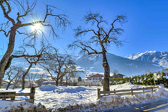 Snowy Alpine Landscape with Bare Trees and Mountains