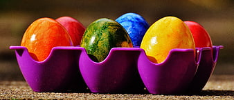 Colorful Easter Eggs in Purple Holder