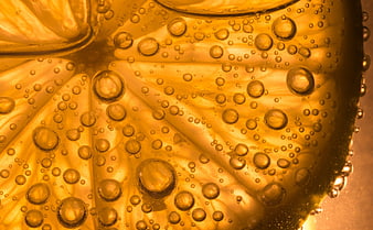 Macro shot of citrus slice in carbonated golden liquid