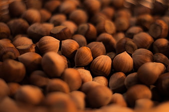 Close-up of roasted hazelnuts with shallow depth of field