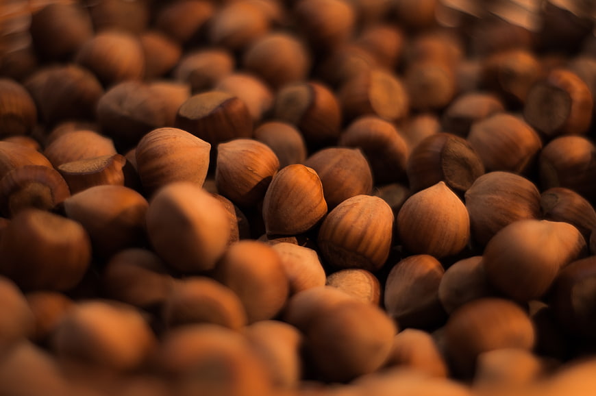 Close-up of roasted hazelnuts with shallow depth of field