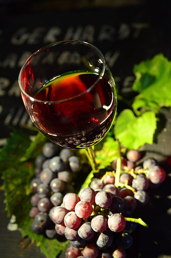 Glass of red wine with fresh grapes and leaves