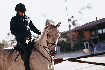 Man Riding White Horse in Outdoor Arena