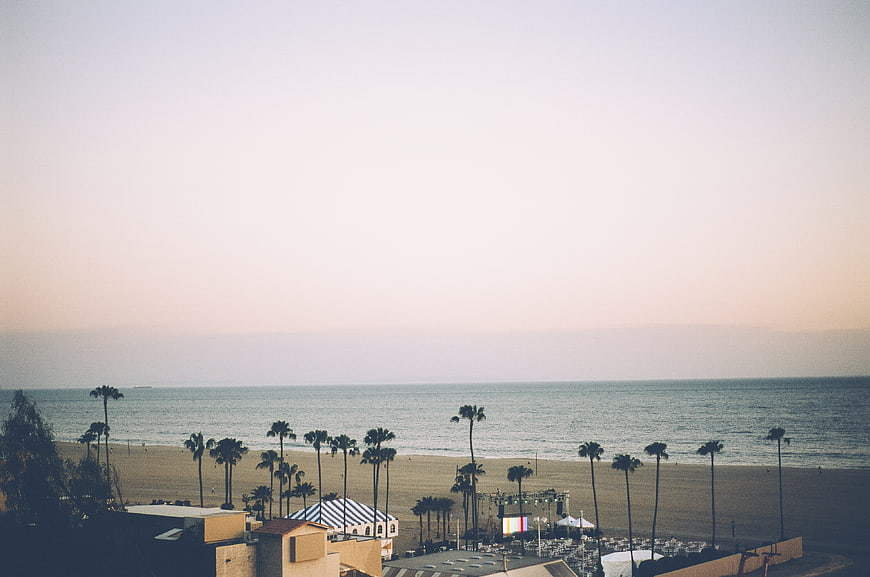 Santa Monica Beach Sunset with Palm Trees and Ocean View