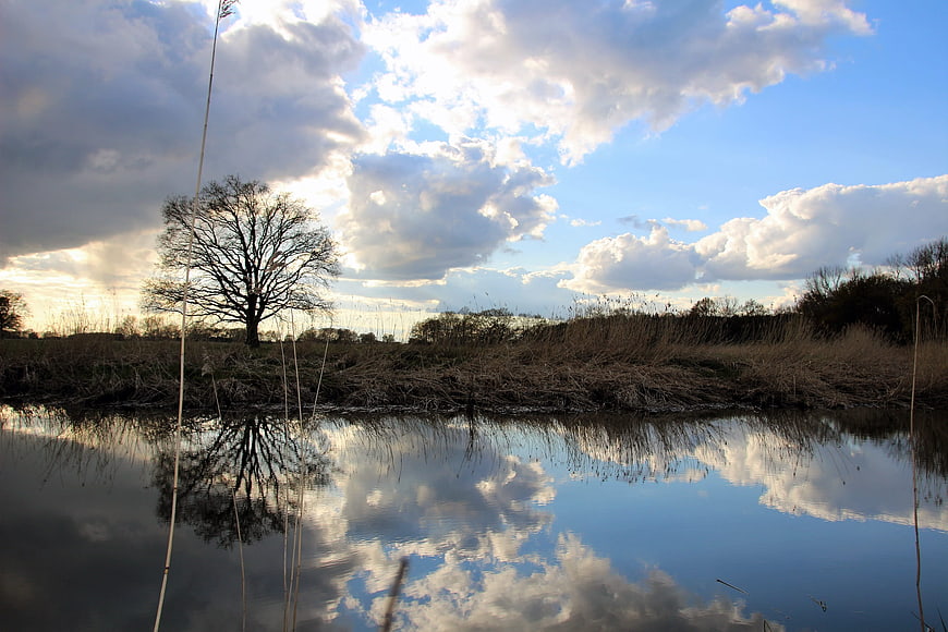 Serene Winter Landscape With Tree Reflection In Calm Water