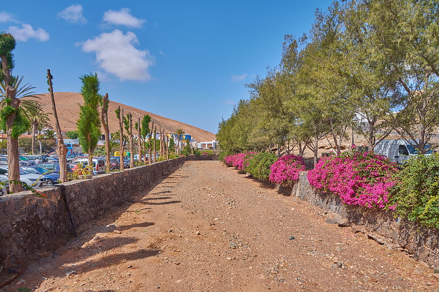Dirt path with pink flowers and stone walls in dry landscape
