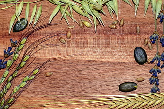 Flat lay of oats, wheat, and seeds on wooden background