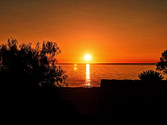 Vibrant Orange Sunset Over Calm Ocean with Silhouetted Trees
