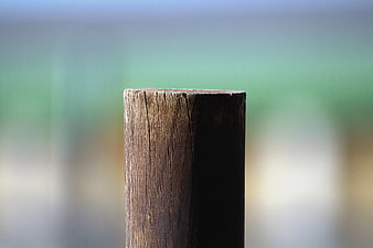 Close-up of weathered wooden fence post with blurred background