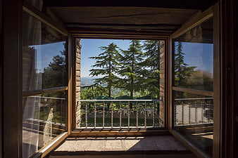 Open wooden window view of pine trees and balcony