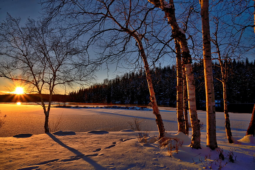 Sunset over Frozen Lake with Birch Trees in Winter