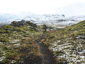 Snowy hiking trail through green mossy highlands