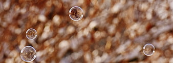 Floating soap bubbles against blurred brown background