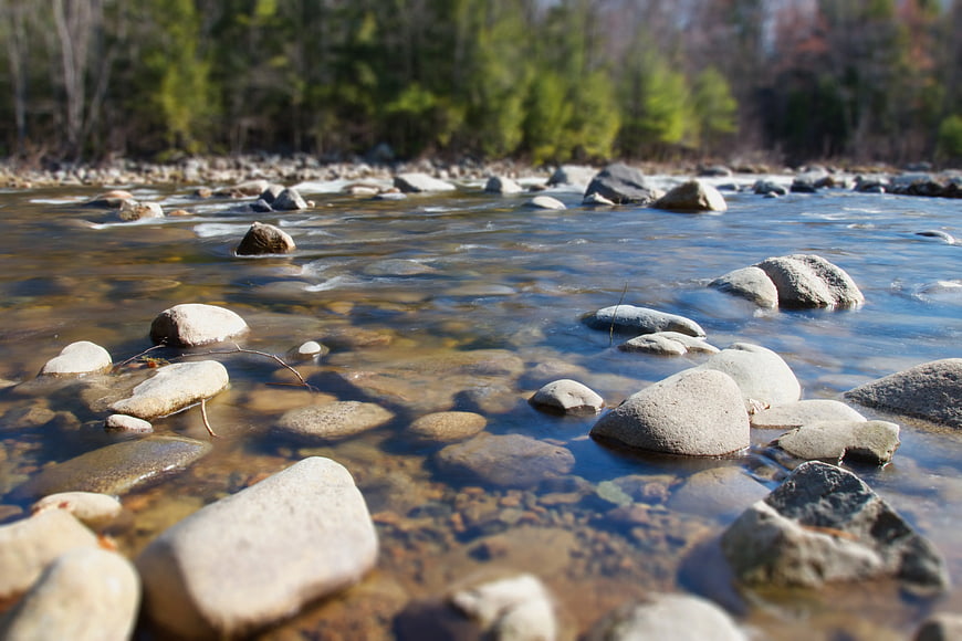 Clear flowing river with smooth gray stones and forest background