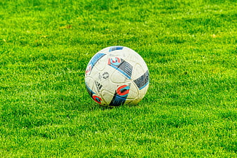 Soccer ball on green grass field