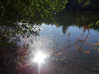 Sunlight reflecting on calm river water with autumn foliage