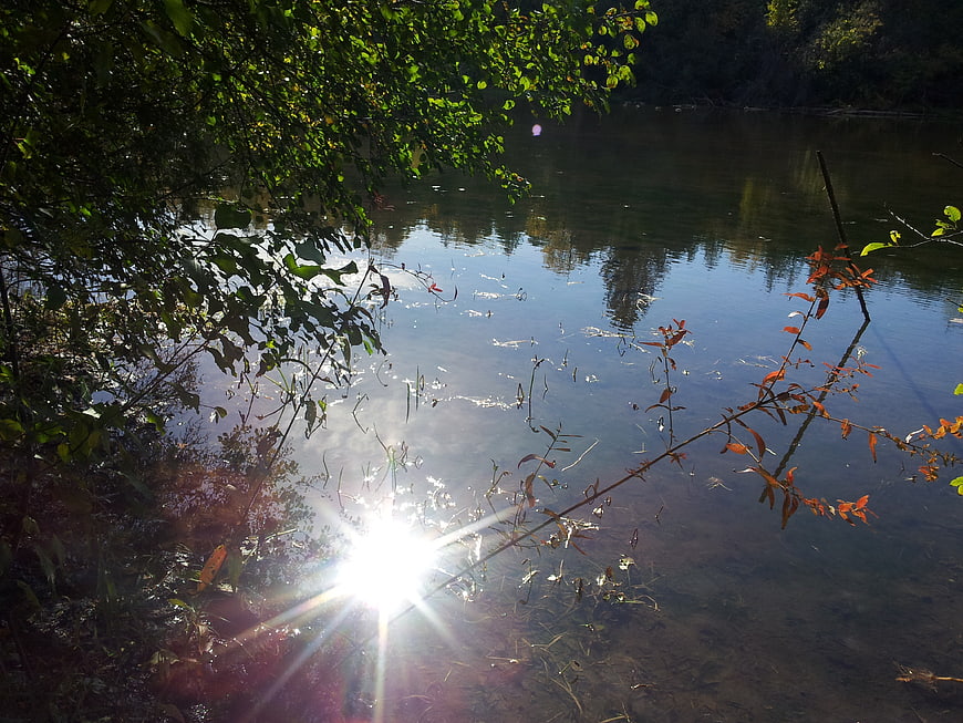Sunlight reflecting on calm river water with autumn foliage