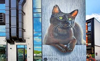 Large black cat mural on modern building wall