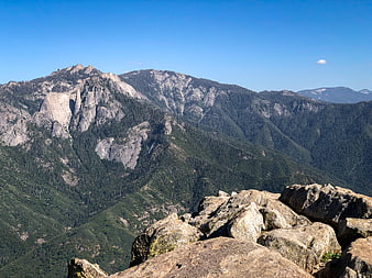 Scenic Rocky Mountain Summit with Pine Forest and Blue Sky