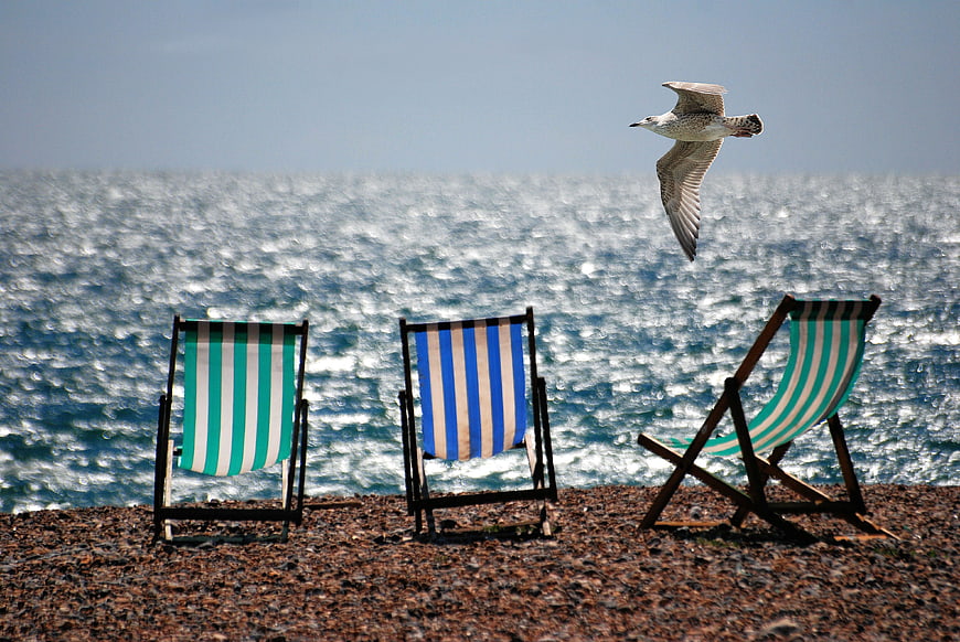 Striped Beach Chairs on Pebble Shore with Flying Seagull