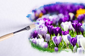 Paintbrush Painting Purple Crocuses On White Canvas