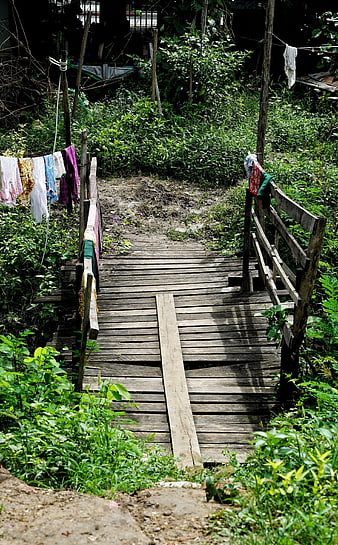 Rustic wooden bridge in lush green village with laundry