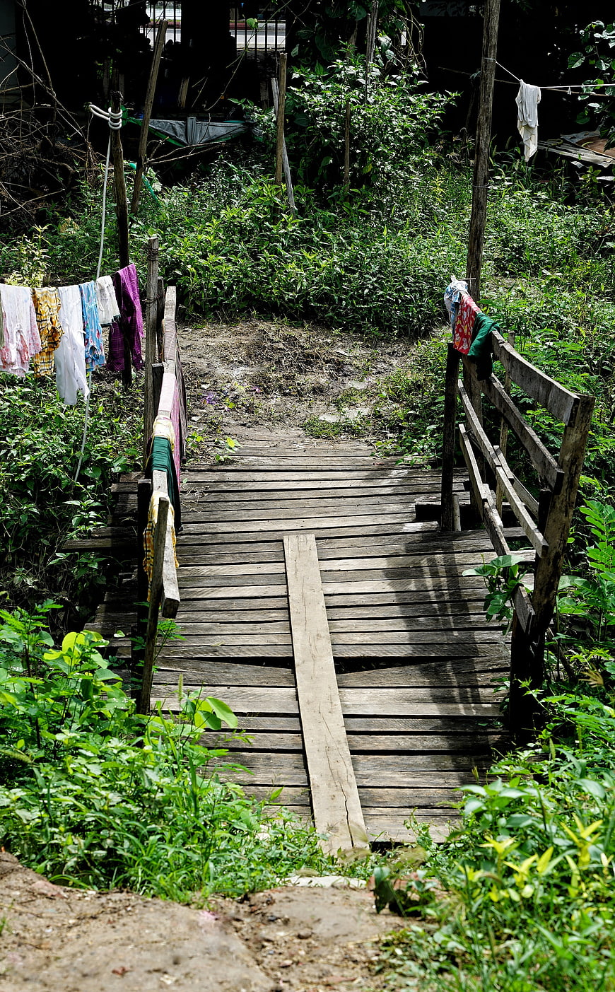 Rustic wooden bridge in lush green village with laundry