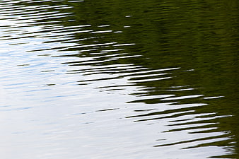 Abstract Water Ripples with Green Reflections and White Highlights