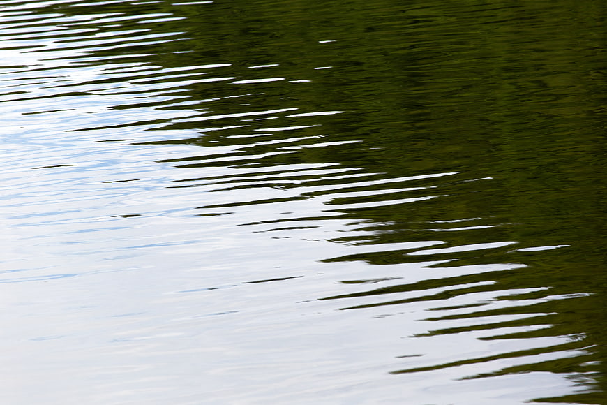 Abstract Water Ripples with Green Reflections and White Highlights