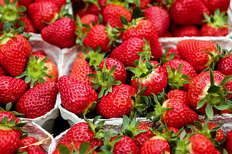 Fresh Ripe Strawberries in Cardboard Containers