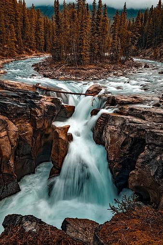 Misty turquoise river rapids cascading over rocks in a dense autumn forest