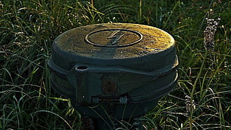 Rusty green electrical box with lightning bolt symbol in tall grass