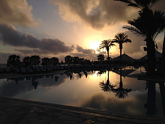 Silhouette of Palm Trees and Pool at Sunset