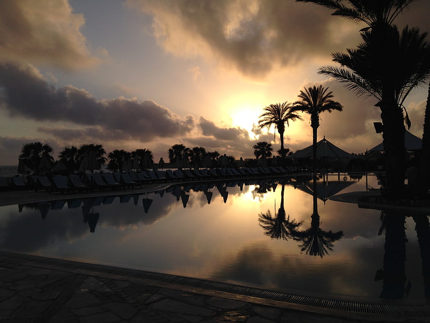 Silhouette of Palm Trees and Pool at Sunset