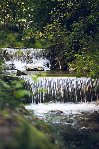 Serene Forest Stream with Cascading Waterfalls