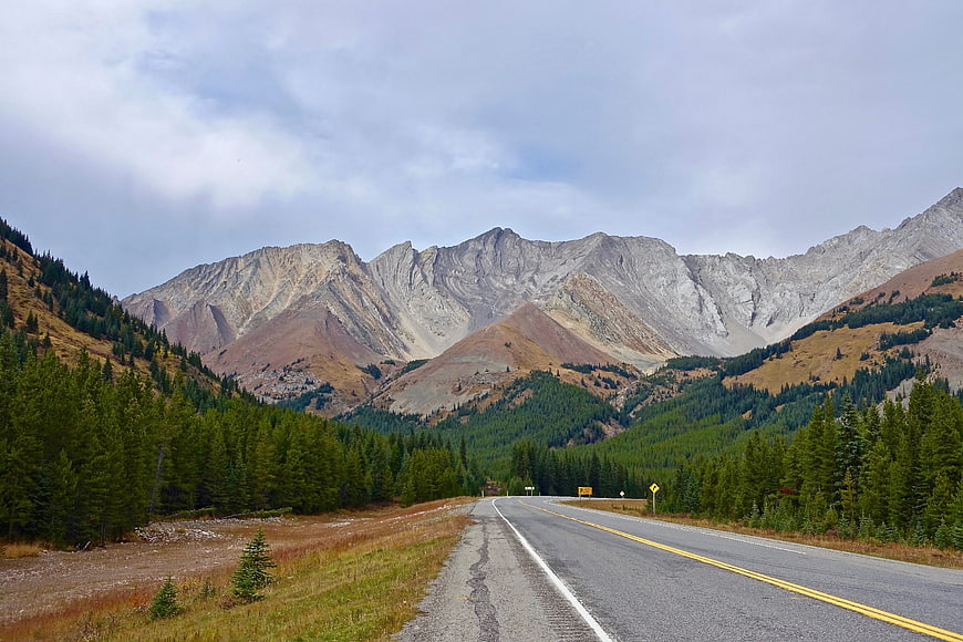 Paved Mountain Road Through Pine Forest and Rocky Peaks