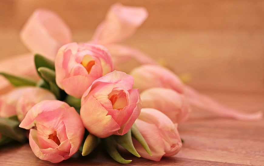 Pink Tulips with Ribbon on Wooden Background