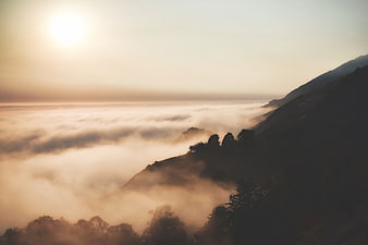 Misty Mountain Sunrise Landscape with Sea of Clouds and Silhouetted Trees