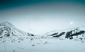 Serene Snowy Mountain Landscape with Pine Trees and Blue Sky