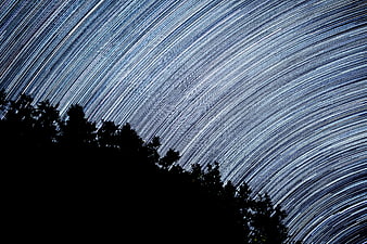 Star trails long exposure night sky over tree silhouette