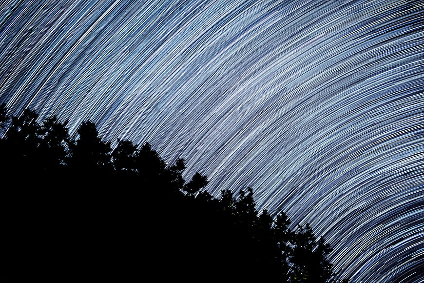 Star trails long exposure night sky over tree silhouette