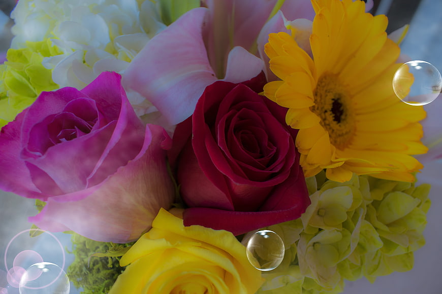 Colorful Floral Bouquet with Roses, Gerbera, and Bubbles